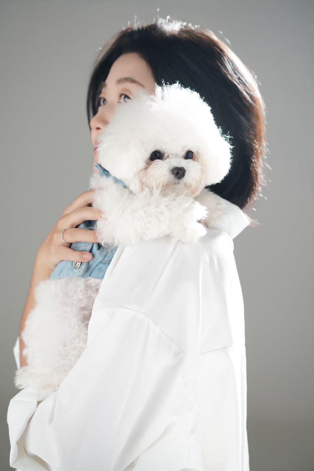 Jessica with one of her Bichons
