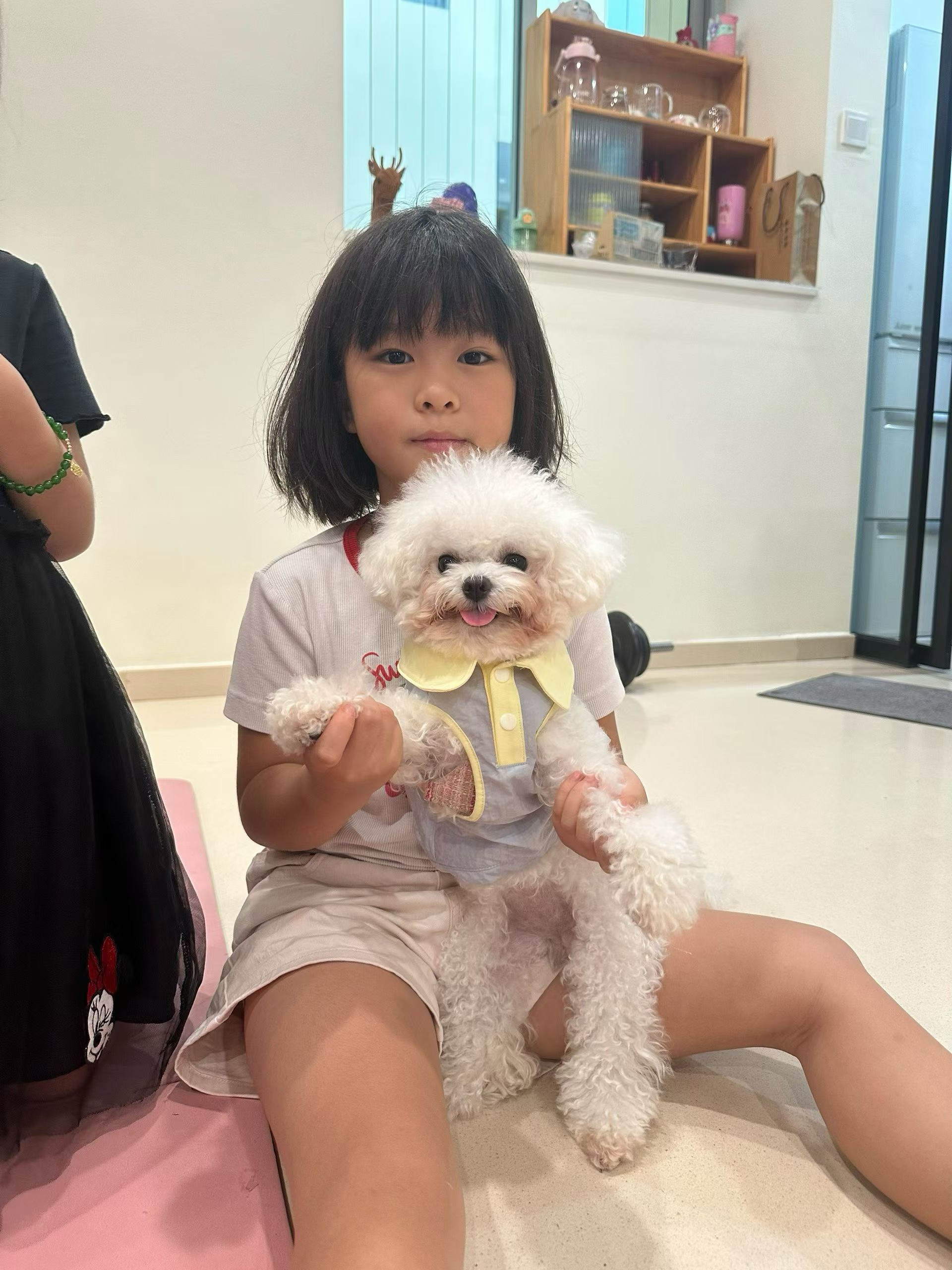A little friend holding a Bichon